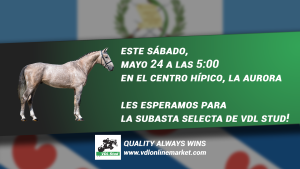 Stream holding card Guatemala25
