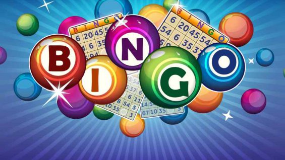 bingo-7eb02b87