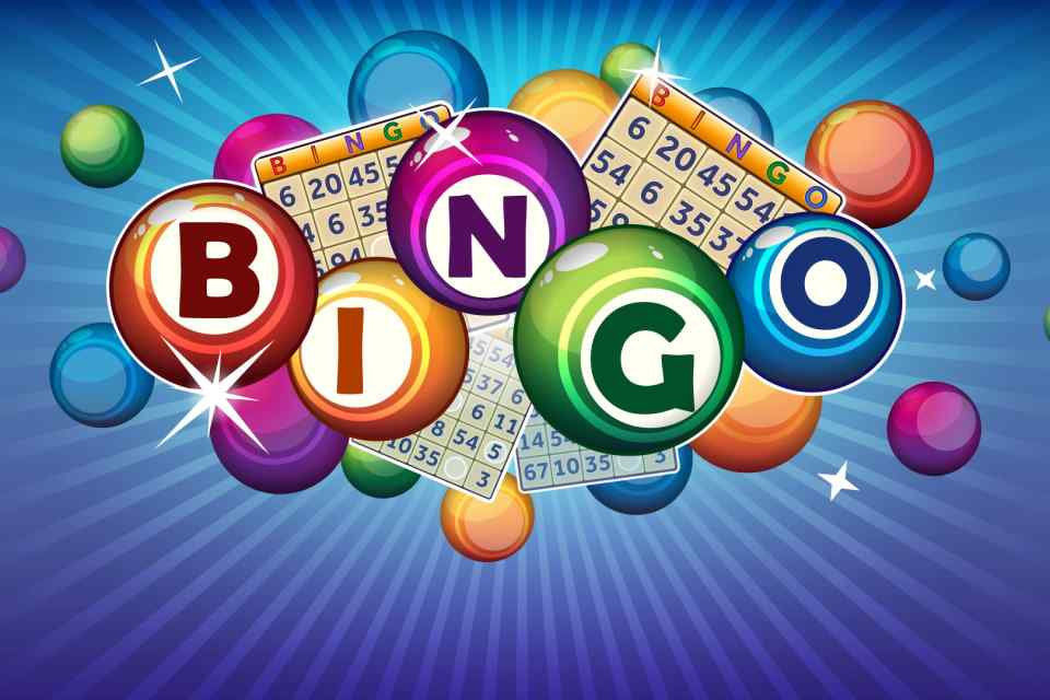bingo-7eb02b87